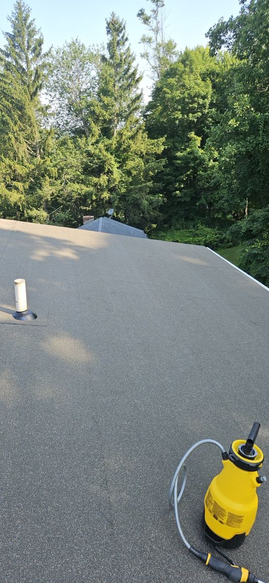 Fresh architectural shingles