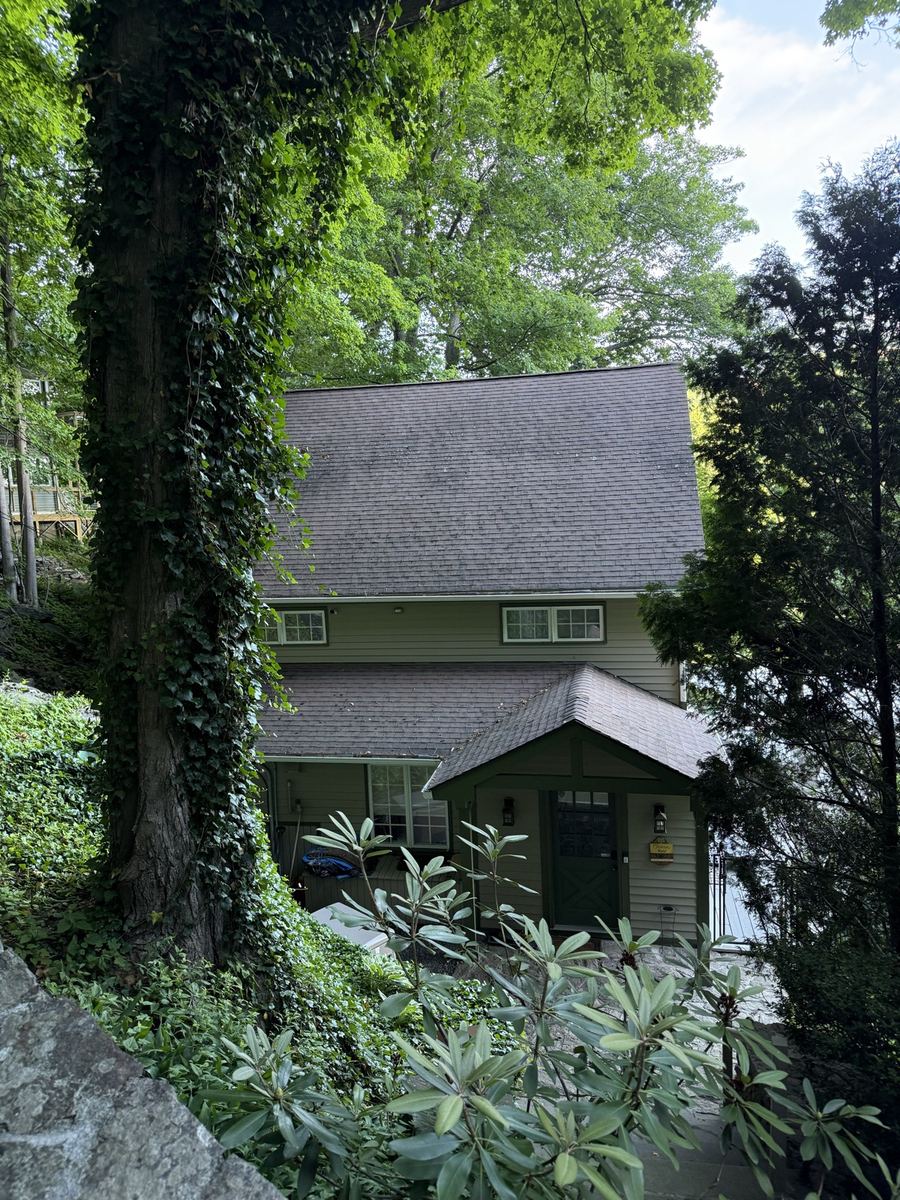 New roof on a green lakeside cottage