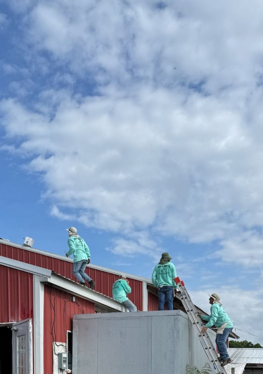 The Andy's Roofing crew at work